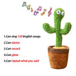 Load image into Gallery viewer, The Wacky Talking Cactus