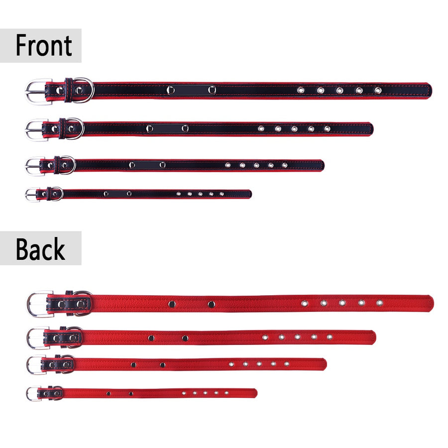Personalized Leather Dog Collar