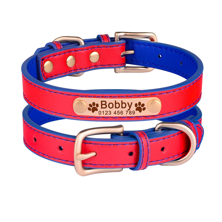 Personalized Leather Dog Collar