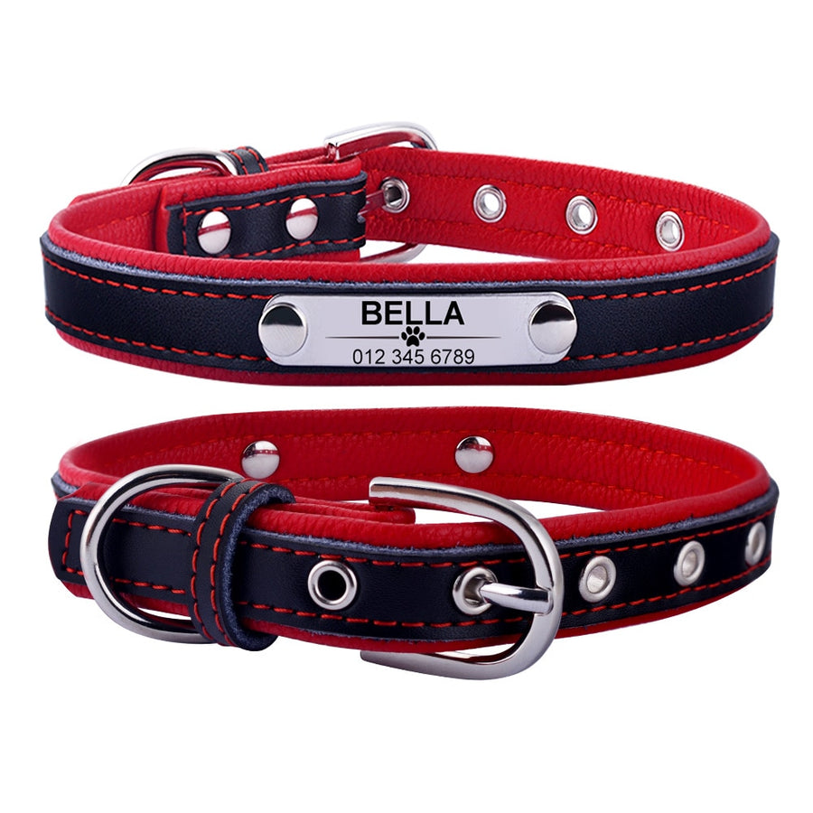 Personalized Leather Dog Collar