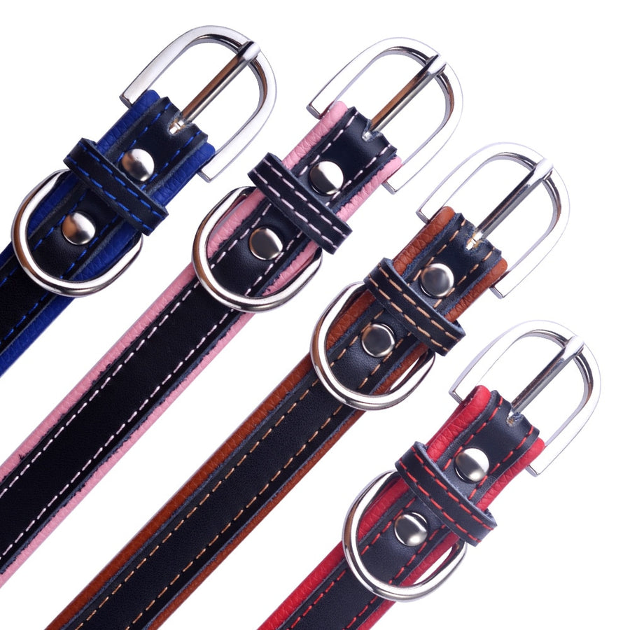 Personalized Leather Dog Collar